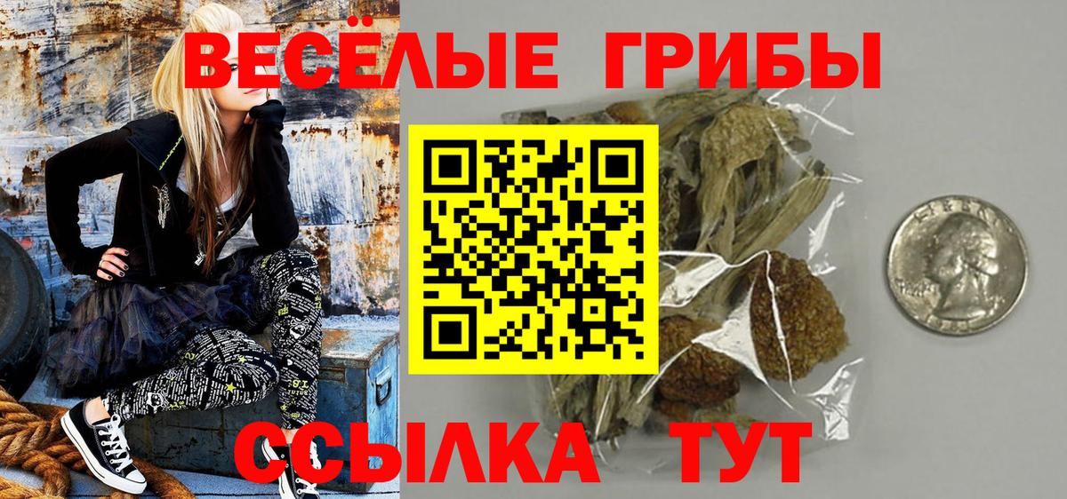 Бутурлиновка  Галлюциногенные грибы прущие грибы  Вход с VPN 